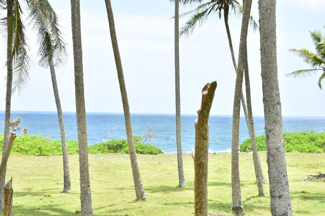 Green Turtle Tangalle Luaran gambar